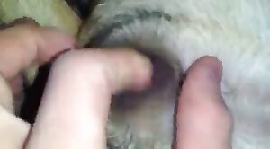 animal-fuck,dog-xxx