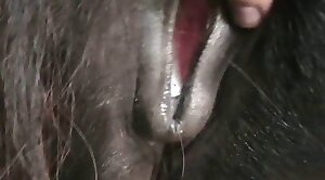pussy,porno-scene